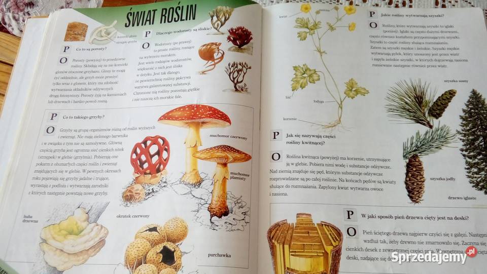 Wielka księga pytań i odpowiedzi mazowieckie Warszawa