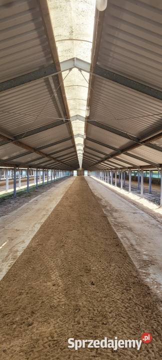 HalaKonstrukcja stalowa świętokrzyskie