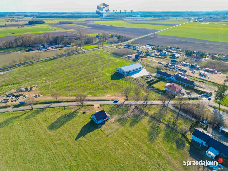 sprzedaży działki 7635m2 Pierławki handlowo-usługowa sprzedam