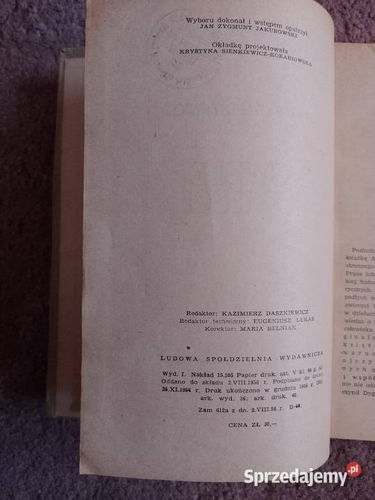 Adolf Dygasiński Nowele i powieści Rzeszów