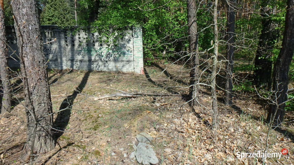 Teren do wynajęcia