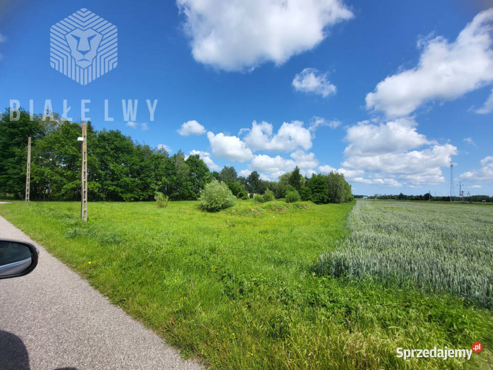 Działka do sprzedania Elżbietów 6400m2 mazowieckie