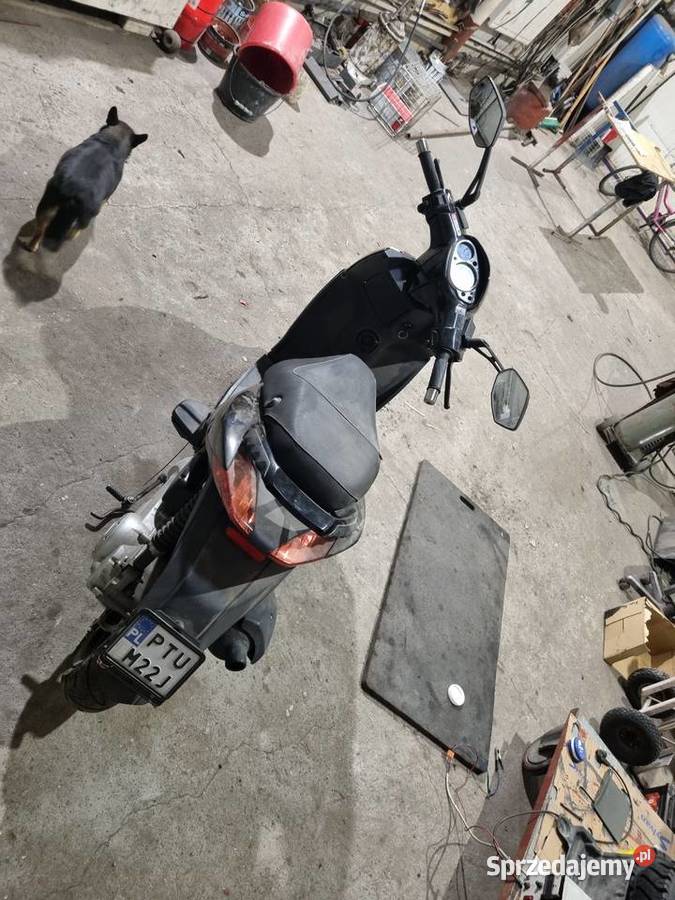 Aprilia sportcity 50 wielkopolskie