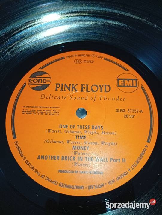 Pink Floyd Delicate Sound Of Thunder Hungary Rumia