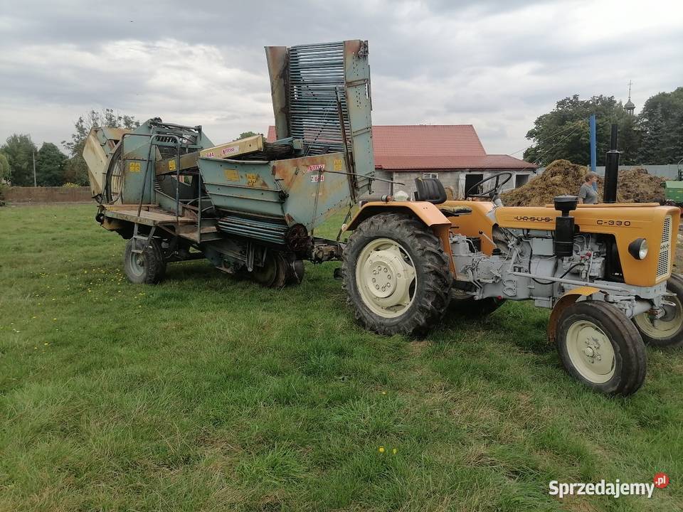 Kombajn do ziemniaków Anna Kutno