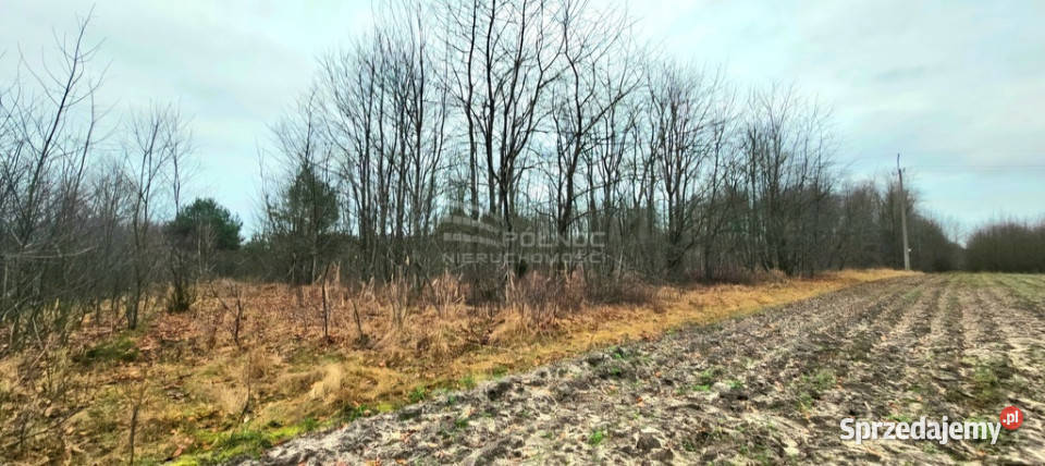 Działka budowlana jeziorem Białym na sprzedaż 56m Okuninka