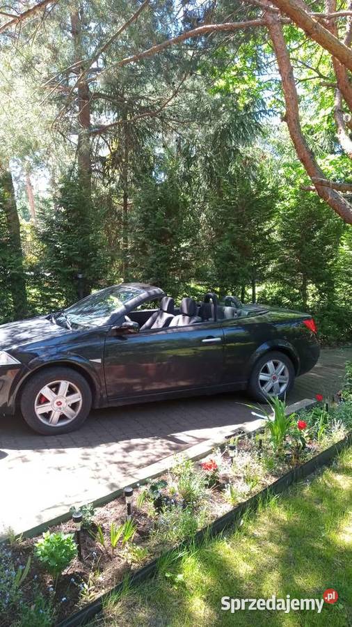 Auto Jastrzębia