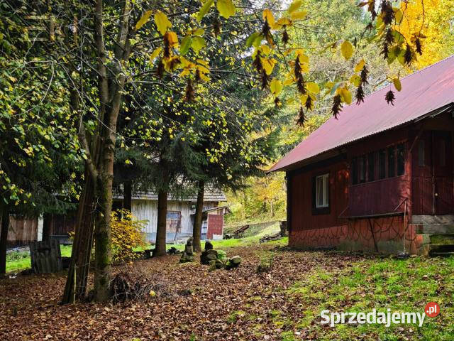 Ogłoszenie dom wolnostojący Pstrągowa 80m2