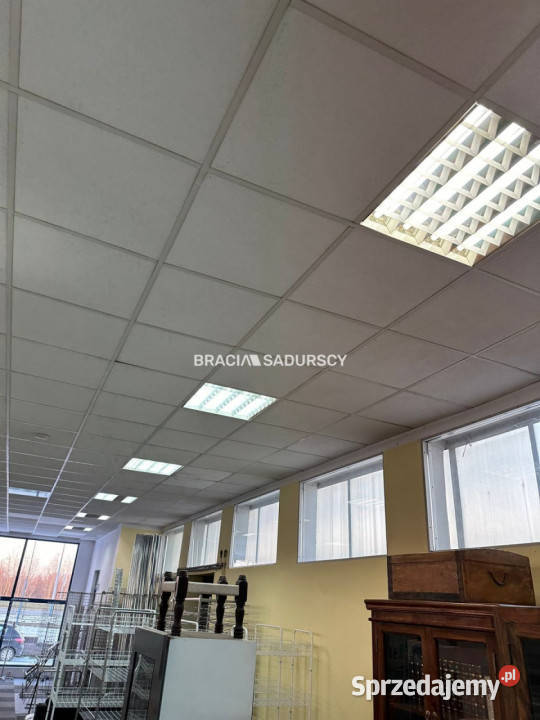 Lokal Kraków Rybitwy 390m2 sprzedam