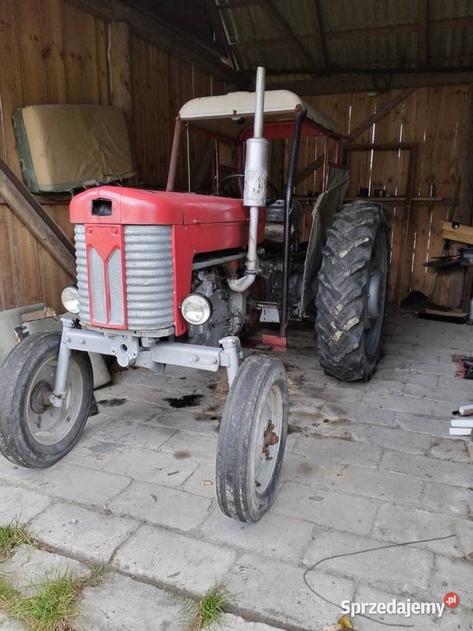 Massey Ferguson 65 Łuszczacz