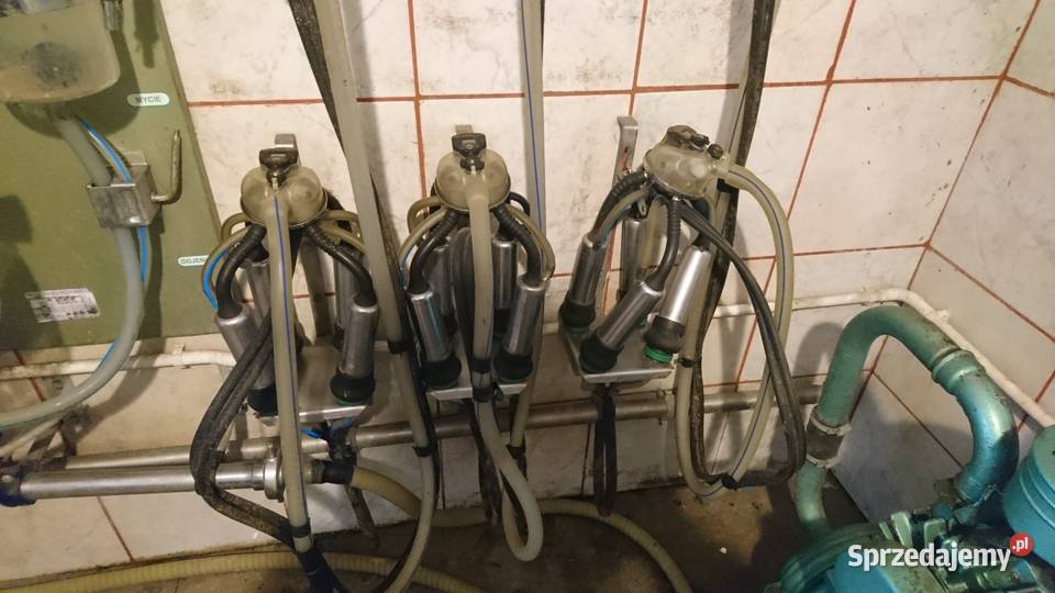 Sprzedam dojarkę przewodową westfalia Młynice