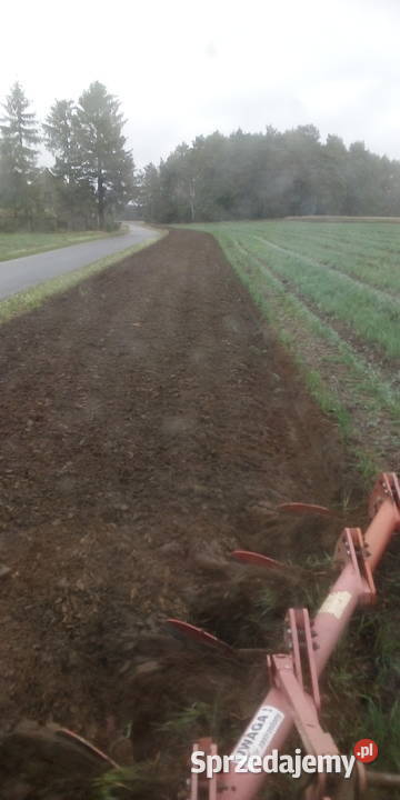 Pług 4 skibowy nieuszkodzony Osowo sprzedam
