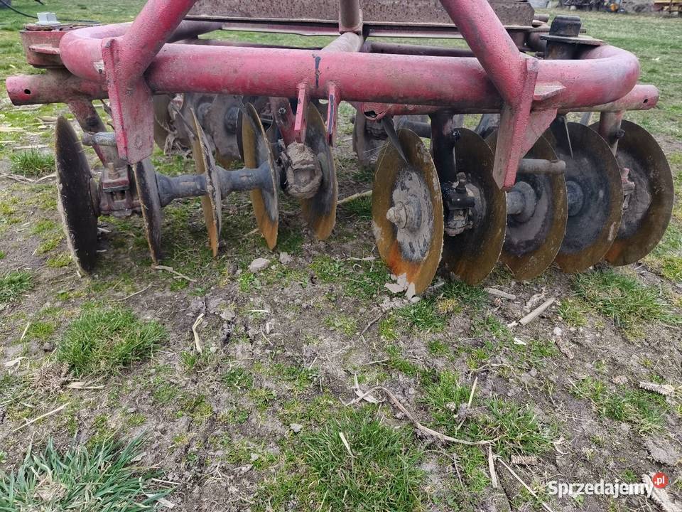 Brona talerzowa Unia Grudziądz Tomaszów Lubelski