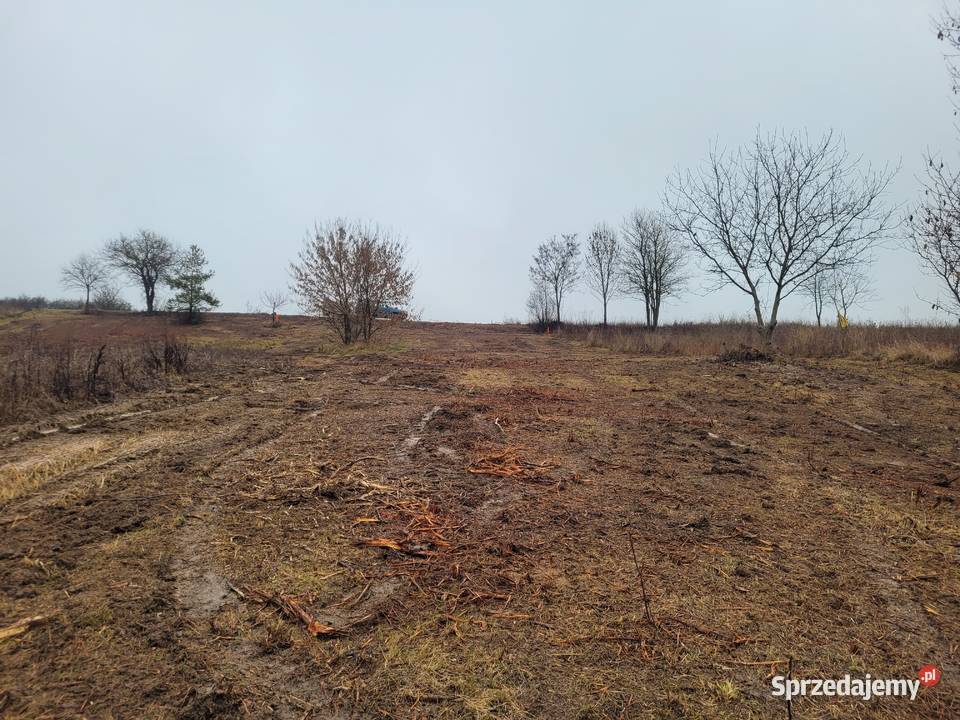 sprzedam działkę Brudzów