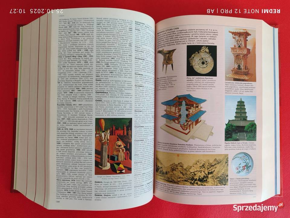 Encyklopedia powszechna i słownik jęz polskiego Książki naukowe i popularnonaukowe Katowice sprzedam