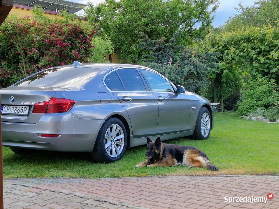 BMW bogate wyposażenie min telefon dociąganie Opole