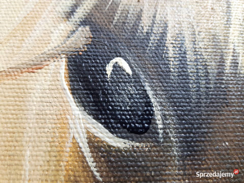 Portret konia z żrebakiem obraz olejny Warszawa sprzedam