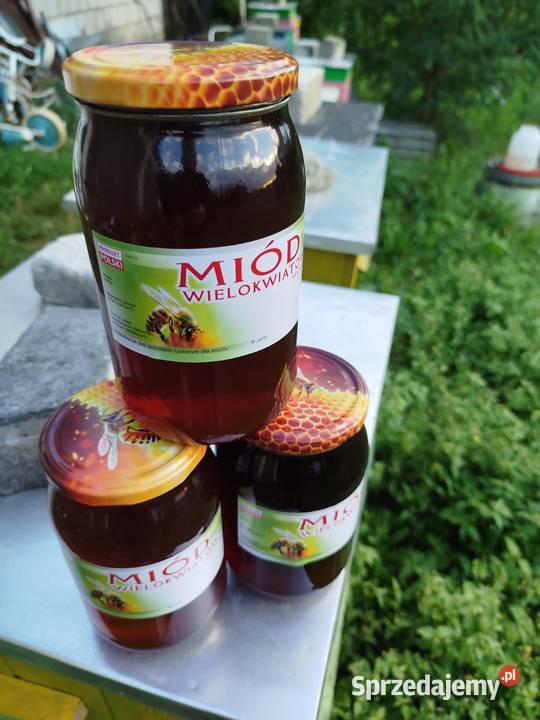 Sprzedam miód wielokwiatowy Koziegłowy