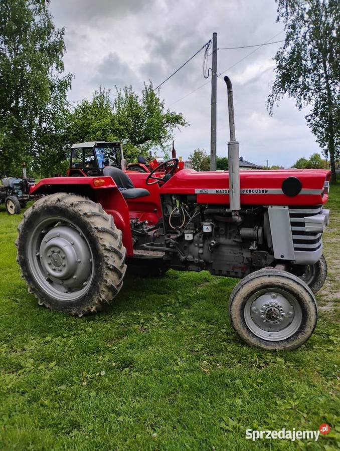 Massey Ferguson 165 Nowy Sącz