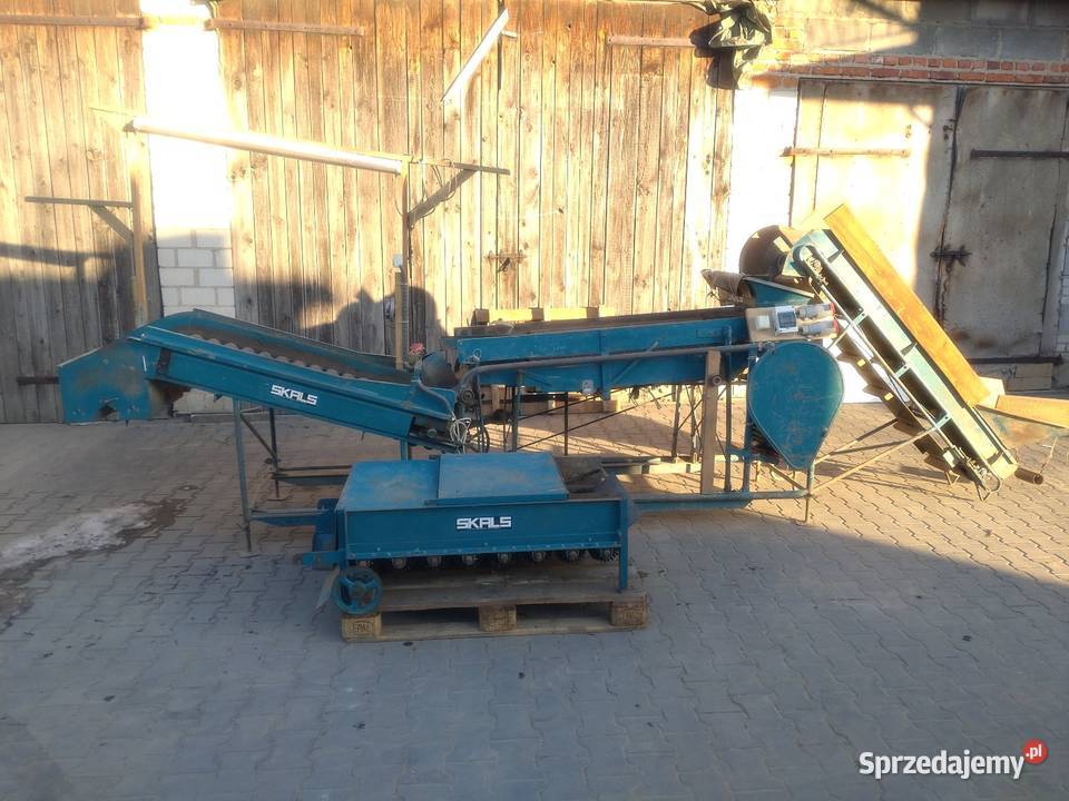 Sortownik do ziemniaków ze szczotkarką Skals łódzkie