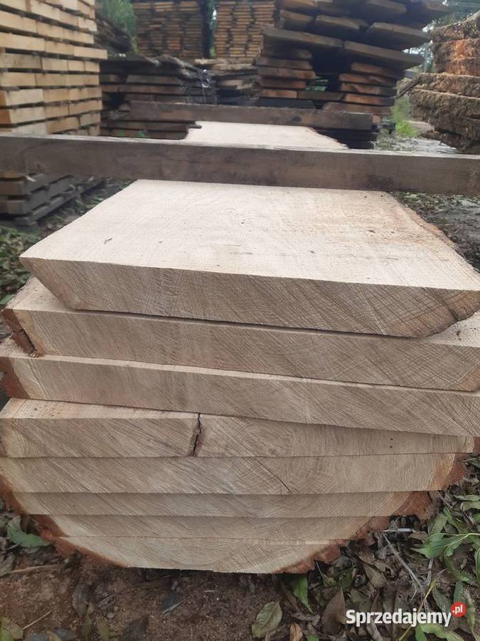 TARCICA DĘBOWA SUSZONA Dąbrowa