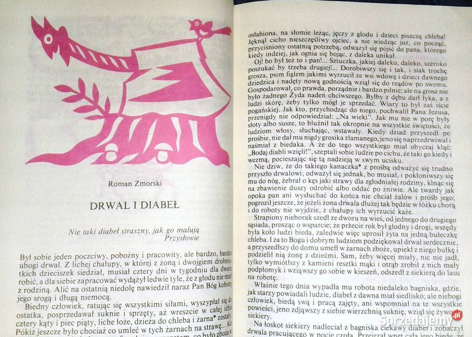 Kwiat paproci i inne baśnie polskie Hanna Pozostałe Chełm