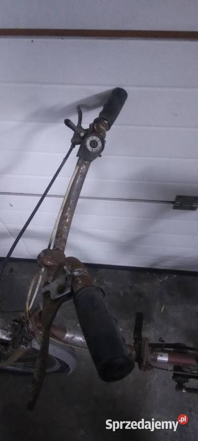 Wigry uniwersal Sanniki