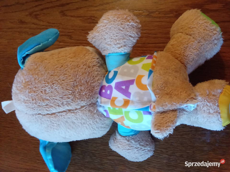 Szczeniaczek Uczniaczek Częstochowa