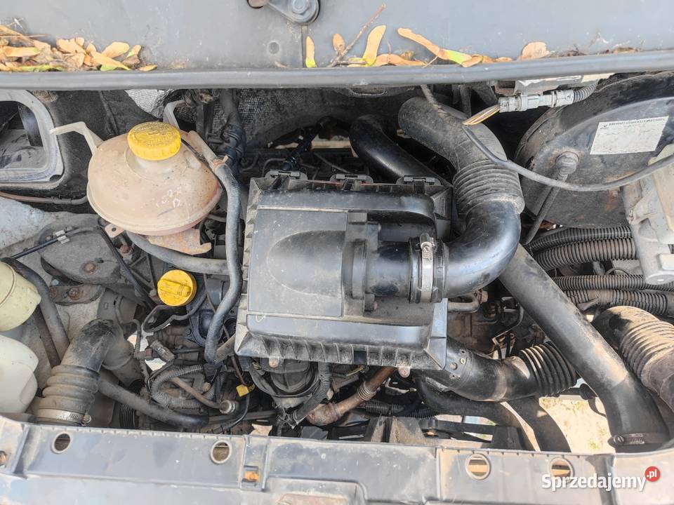 Master 2 25D 6Skrzynia klimatyzacja diesel wielkopolskie Kołaczkowo