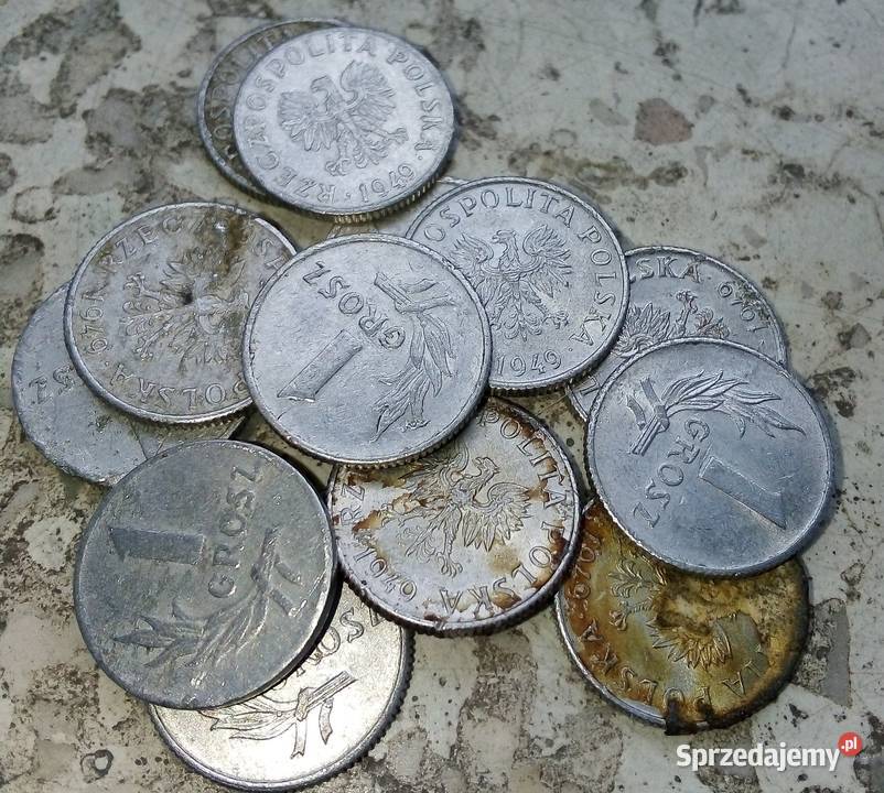 POLSKA 1 GROSZ 1949 rALbz12 SZTUK Legionowo