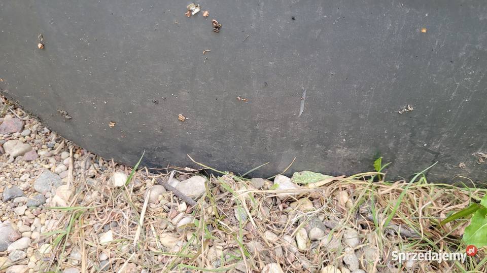 Drzwi Renault Scenic I