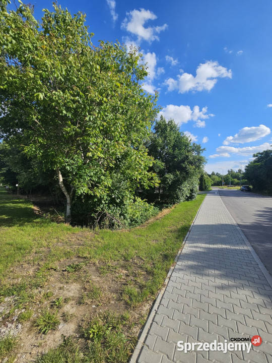 Wyjątkowa działka budowlana Dąbrowa gm Masłów