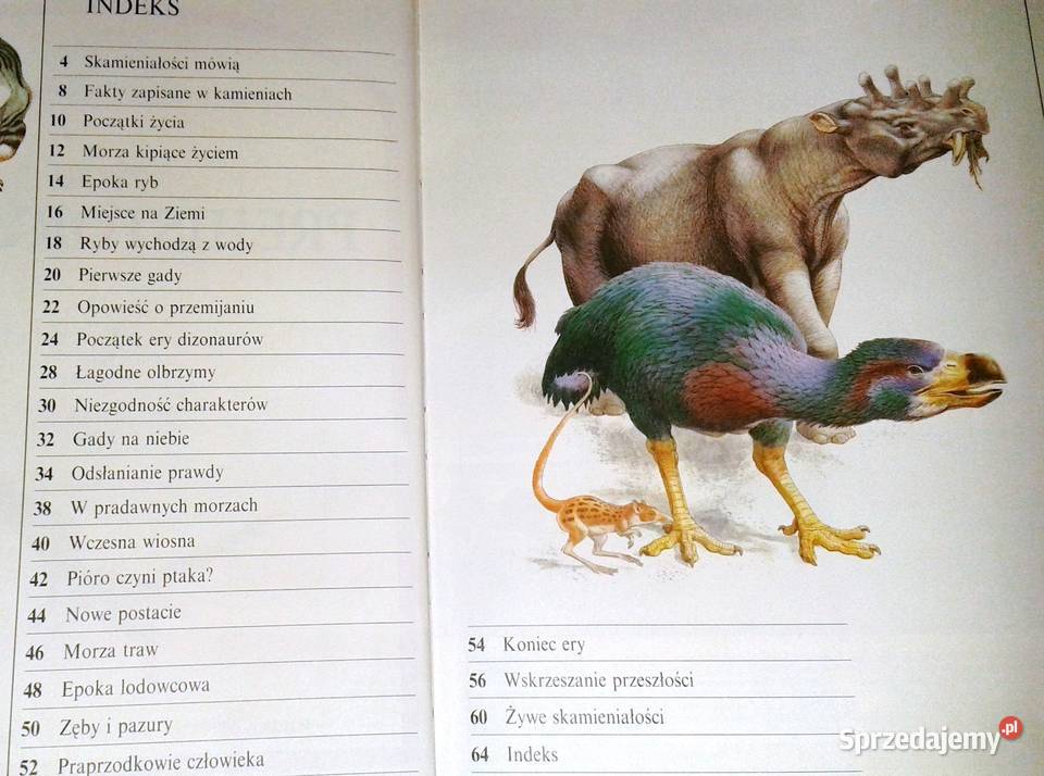 Życie prehistoryczne Steve Parker