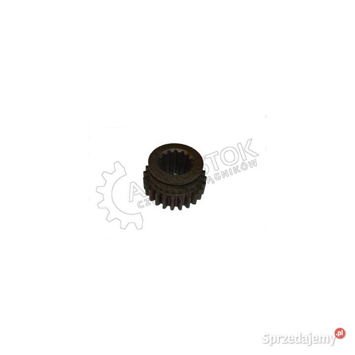 Koło zębate dt Parczew