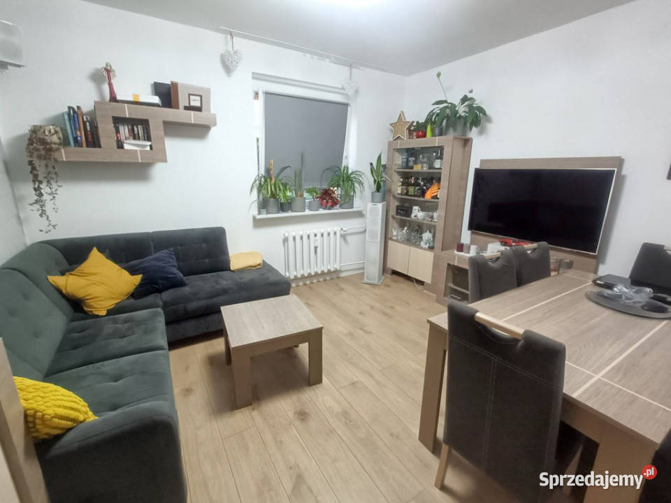Mieszkanie trzy pokojowe na parterze 10000zł/m2 opolskie Opole