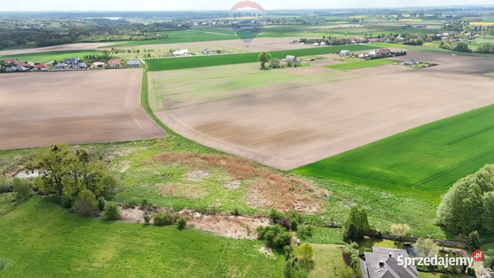 Działka inwestycyjna 9521mNapachanie S11 wielkopolskie Napachanie