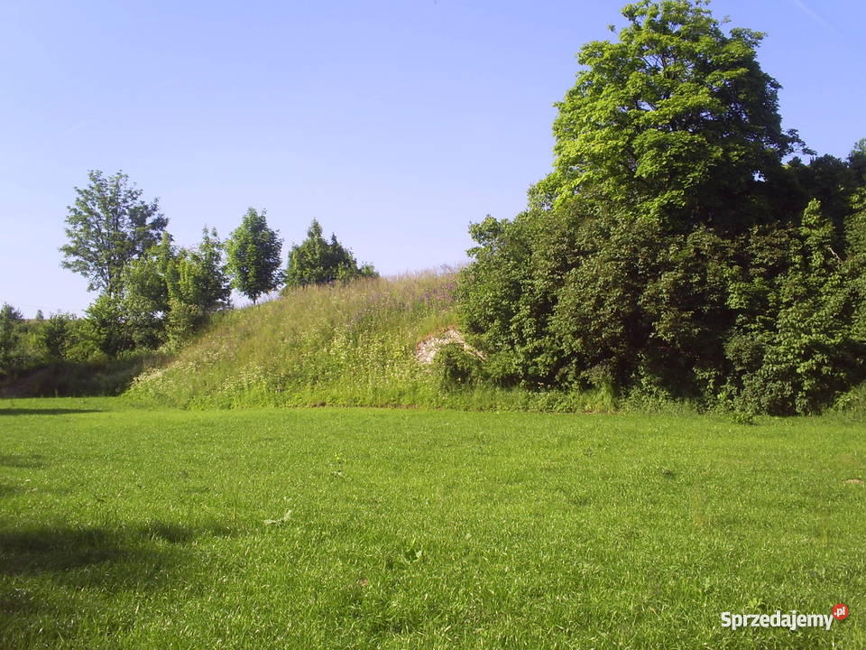 działka pod lasem Szreniawa