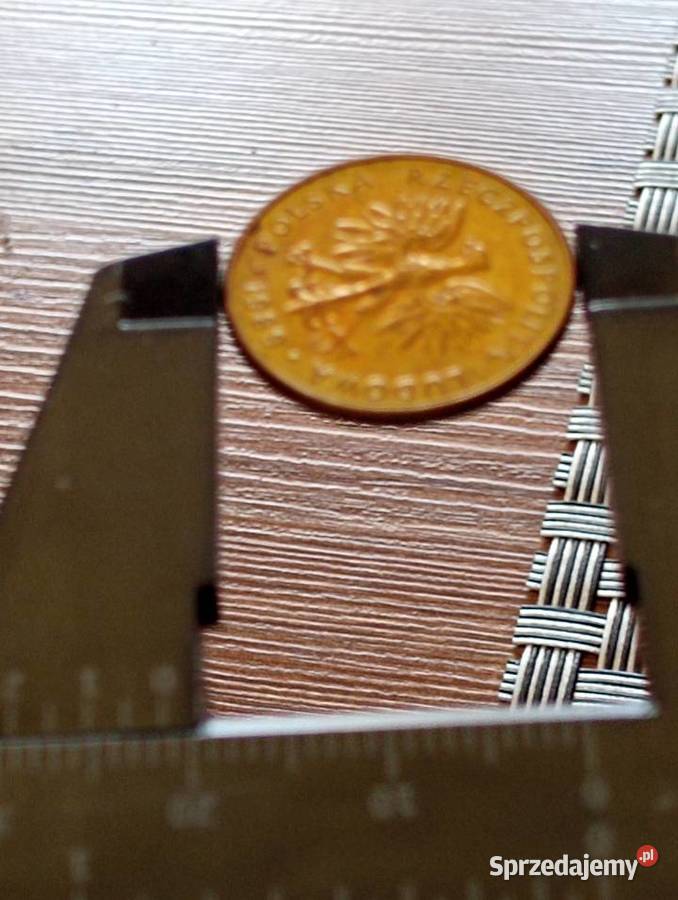 sprzedam monete 10 zloty 1989 r proba Chełm