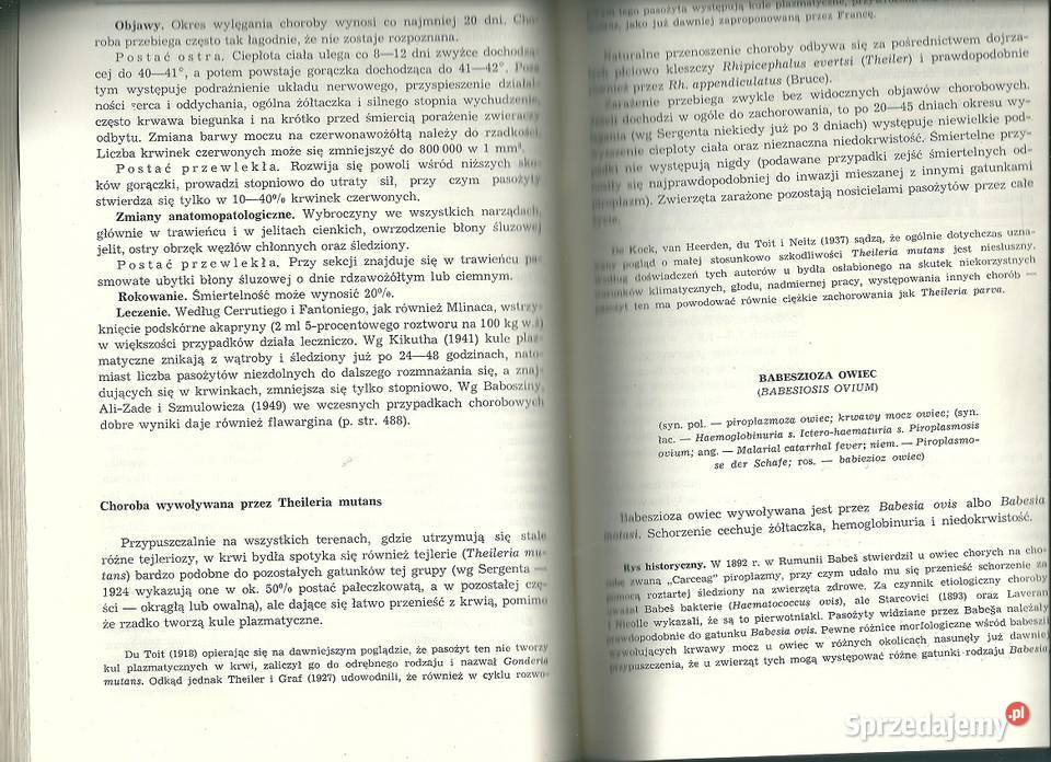 Szczegółowa patologia i terapia chorób zwierząt medycyna, nauki medyczne Książki naukowe i popularnonaukowe łódzkie Łódź