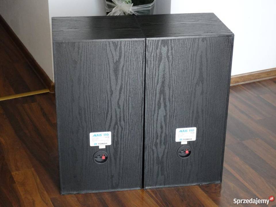 Kolumny Altus 110 Tonsil sprawne i ładne WYSYŁKA podkarpackie Jasło