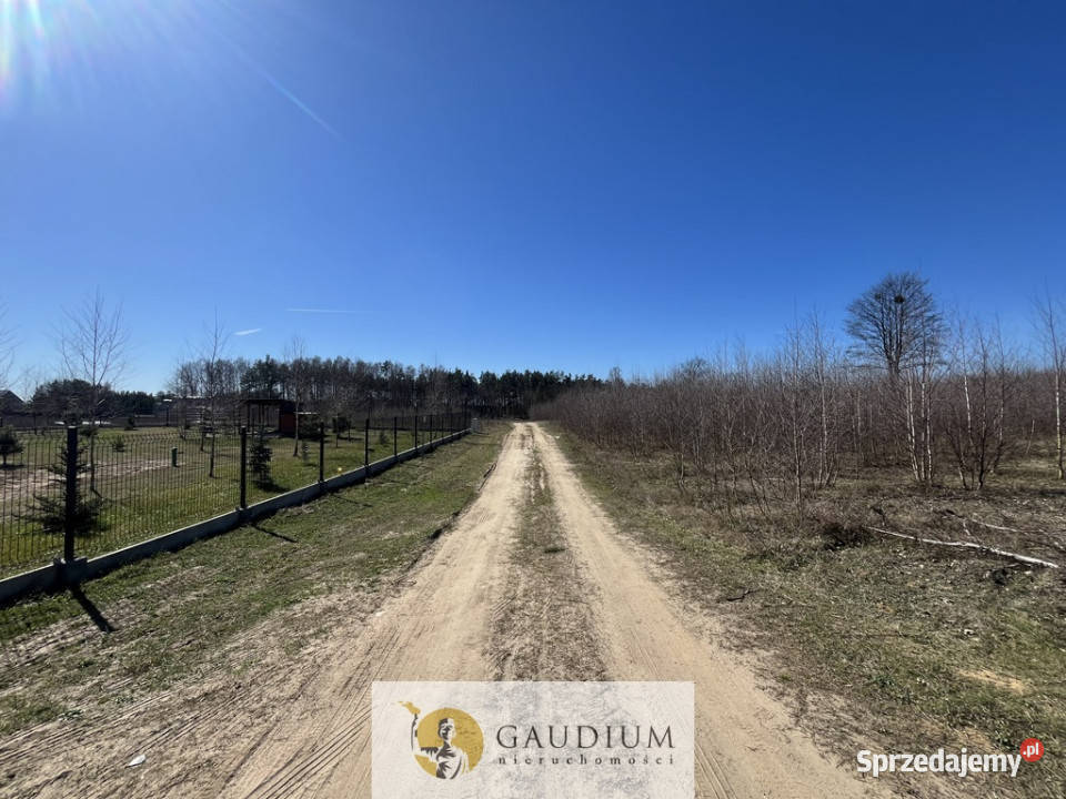 Działka pod budowę domu I 3104 m2 I gm Lubichowo Lipinki Królewskie sprzedam
