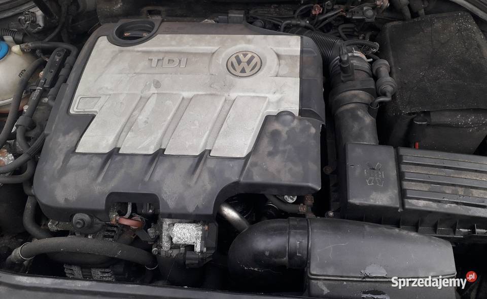 passat b6 20tdi kolor lc9z czytac opis Biała Podlaska