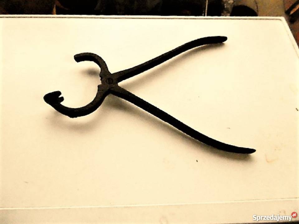 szczypce kleszcze cęgi koła nosowe byk krowa Namysłów