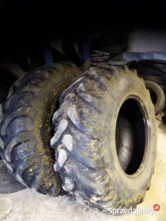 Opony 17524 Jaszczołty