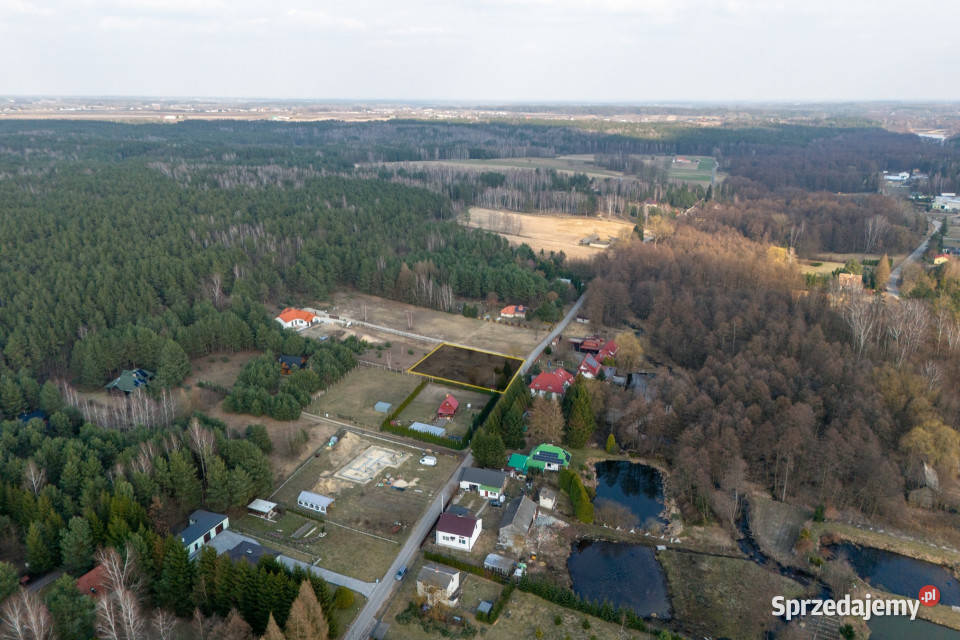 Na sprzedaż działka budowlana Przykory gm Pniewy Sprzedaż Sprzedaż