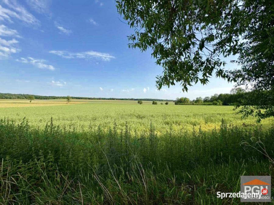 Ogłoszenie działka Gryfice 1500m2 szambo