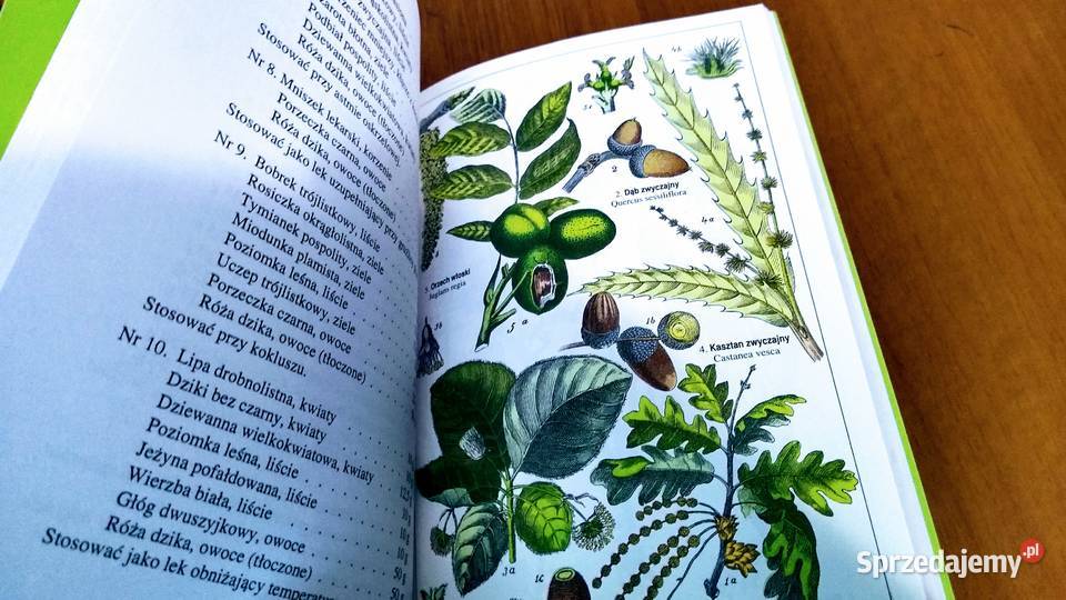 Zioła w walce z nowotworami uwierzyć wbrew ISBN 8387893846 pomorskie Gdańsk sprzedam