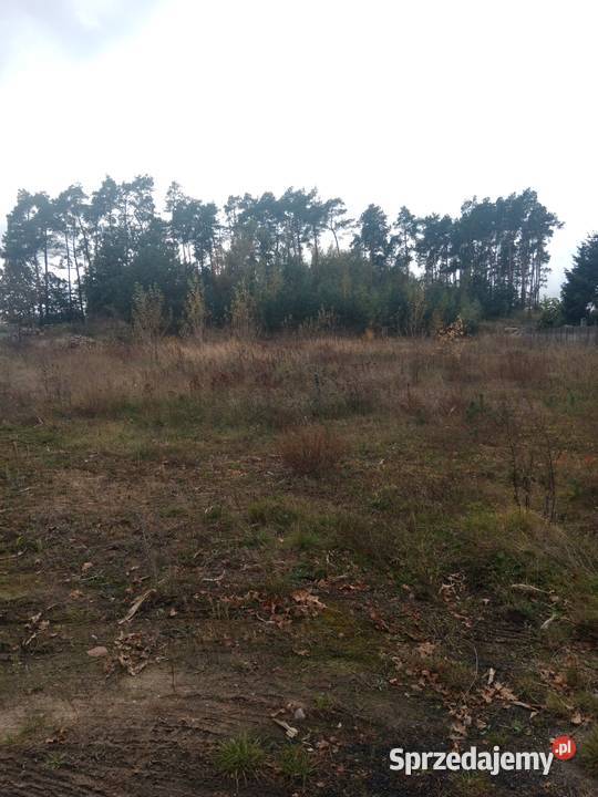 Sprzedam działkę budowlaną uzbrojona 1296m Ochodza