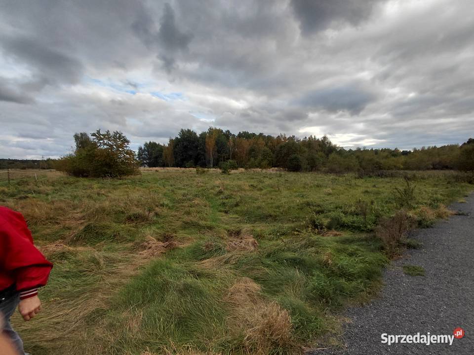 Sprzedam ziemię rolna 7000m2 Goleniów