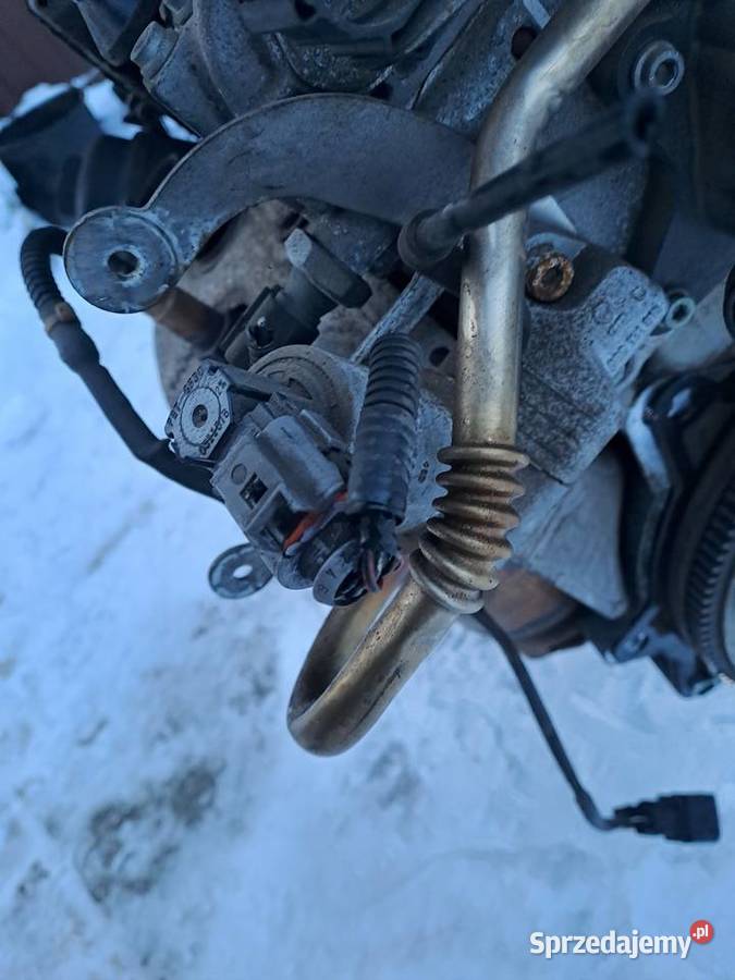 Seat Ibiza 6L III 12 12V silnik kompletny kod Rok produkcji 2006 Jastrzębie-Zdrój sprzedam